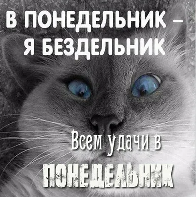 ДАЛК - НЕСКОЛЬКО ЛАЙФХАКОВ КАК ОБЛЕГЧИТЬ ТЯЖЁЛЫЙ ПОНЕДЕЛЬНИК ⠀ Говорят,  понедельник — день тяжелый. Мы слышим эту народную «мудрость» с самого  детства и начинаем ощущать на себе уже со школьных лет. ⠀
