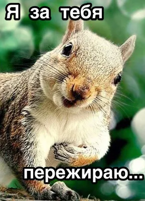 Понедельник день тяжелый...но мы это исправим! - БлогАлиса Кравцова