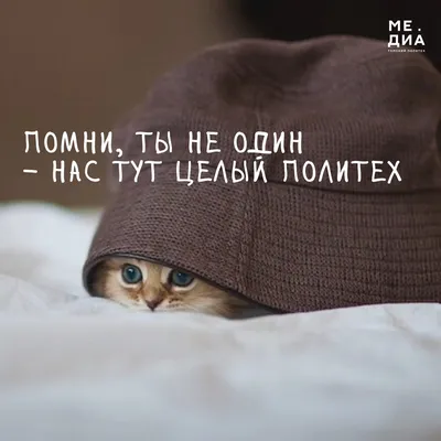 Блокнот «Понедельник-день тяжелый» 32 листа — купить в Москве в  интернет-магазине Milarky.ru