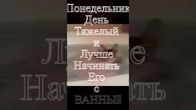 Понедельник день тяжелый и серьезный А мы хотим продлить веселье! Пишите в  комментариях свою самую вескую причину стать… | Instagram
