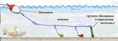 Хариус на поплавочную удочку | обзоры для рыбалки - Wiki Spinningline