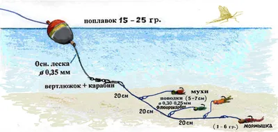 Ловля хариуса на спиннинг. Часть 1 | обзоры для рыбалки - Wiki Spinningline