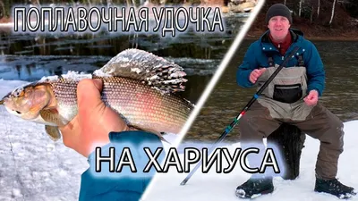 Самый ЛУЧШИЙ и ПРОСТОЙ, способ оснастки, НАСТРОЙ!!! Поплавочной удочки на  ХАРИУСА!!! Результат 100% - YouTube