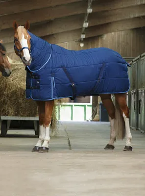 Попона для лошади SHIRES Original с отстегным капором 100g 155 синяя -  купить в Москве, цены на Мегамаркет