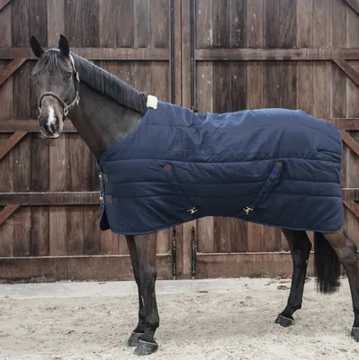 SHIRES HIGHLANDER Попона прогулочная для лошади \"Original Lite\" 600D 0g 135  чирок (9350/TEAL/72) купить от 10870 руб в Старом Осколе, сравнить цены -  SKU12012904