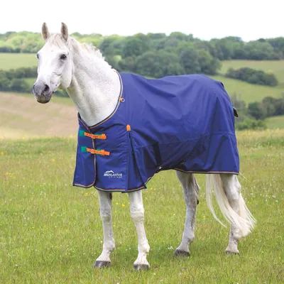 Попона для лошади прогулочная на хлопковой подкладке осень/весна WW0 с  капором - купить с доставкой по выгодным ценам в интернет-магазине OZON  (913800916)
