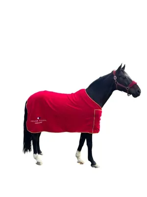 Попона Fouganza ALLWeather 50 для лошади, серый – заказать из-за границы с  доставкой в «CDEK.Shopping»