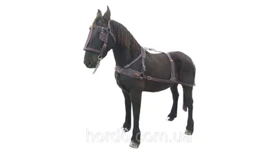 Horze Glasgow попона для лошадей, 100 г, 145 см, синий