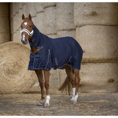 Попона для лошади HORSEWARE IRELAND Amigo Hero Ripstop Plus 100g  Fig/Navy/Tan Blanket AAPP92-GFBM - 265785407696 - купить на eBay.com (США)  с доставкой в Украину | Megazakaz.com