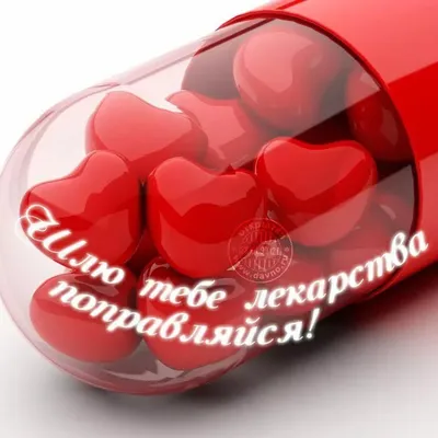 Поправляйся! Открытка Лев и птица Гришковец А.И. ИП | Купить по цене от 200  рублей в аптеках Доктор Столетов