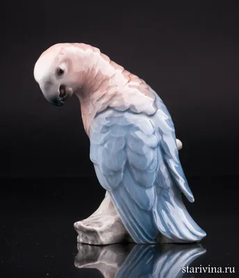 Попугай Жако, эстетично, красиво, …» — создано в Шедевруме