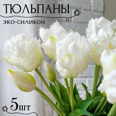 Тюльпаны попугайные Негрита Пэррот с доставкой! 🌱 [825795]