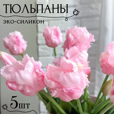 Купить Тюльпаны силиконовые попугайные / Букет из 5 шт / Цвет Белый по  выгодной цене в интернет-магазине OZON.ru (972313045)