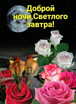 Пора спать... Спокойной ночи! картинки, фото, стихи в открытках - Пожелания  доброй ночи своими словами в картинках | Good morning gif, Free to use  images, Painting