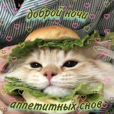 Вася Ложкин
