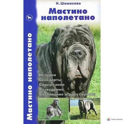 Неаполитанский мастиф - фото, цена, описание, видео