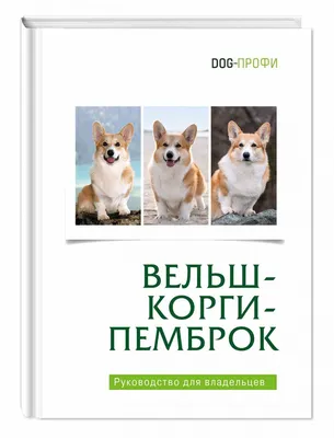 Вельш корги: пемброк и кардиган. В чем разница? | Дрессировка собак Москва  и МО | Дзен