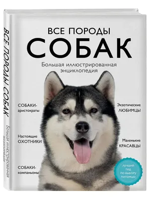 Агрессивные породы собак, их самые яркие представители.