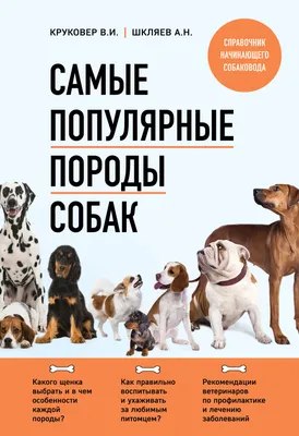 5 самых мстительных пород собак. Подумайте, прежде чем заводить такую | РБК  Life