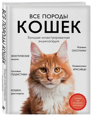 Все породы кошек. Большая иллюстрированная энциклопедия | Ярощук Алина  Игоревна - купить с доставкой по выгодным ценам в интернет-магазине OZON  (477030184)