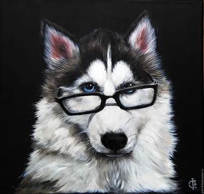 Portrait dog, портрет собаки корги, вельш корги | Собачьи портреты, Собаки,  Корги