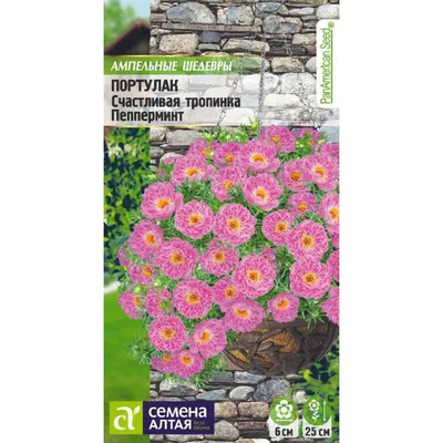 Купити Портулак крупноцветковый смесь (однолетник) - портулак від Берекет  КФХ