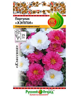 Портулак зонтиковидный Muffin Rose - Портулак - GardenPlants