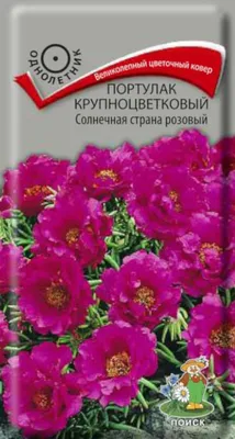 Семена Портулак Смесь Окрасок (а/ф Семена Алтая) купить за 40 р. в садовом  центре АСТ Медовое