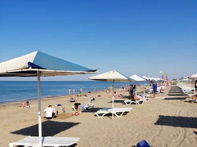 Пляжи Прибрежное Крым. Отдых на берегу моря в Прибрежном в Саках