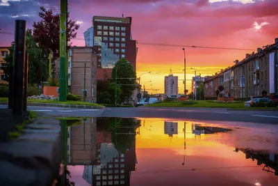 Волшебство природы после дождя