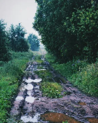 Капельки на окнах после дождя