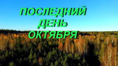 Штормовые предупреждения объявлены почти во всех регионах в последний день  октября - 30.10.2022, Sputnik Казахстан