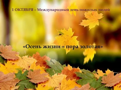 В последний день октября в Москве обещают облачную, но не дождливую погоду.  Днём воздух прогреется до +7..9°. #всеомоскве #москва #погода… | Instagram