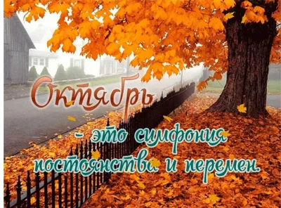 В последний день октября в Пензе и области потеплеет до +13 градусов