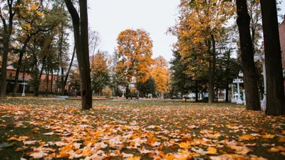 Ежегодно в последний четверг октября во всём мире отмечается «День без  бумаги» - Лента новостей ЛНР