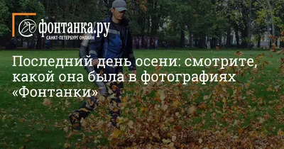 Последний день осени в Новозыбкове отметился семейными скандалами •  БрянскНОВОСТИ.RU