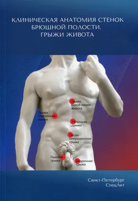 Грыжи живота: симптомы, диагностика и лечение в клинике Universum Clinic