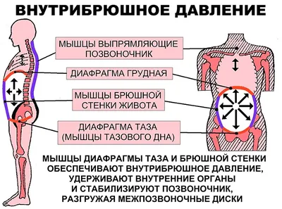 Лечение белой грыжи живота в клинике Gatling Med в Ташкенте
