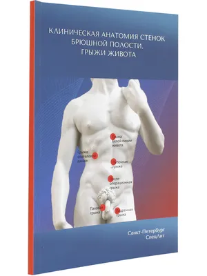 Купить бандаж для грыжи живота в Молдове - MedHelper