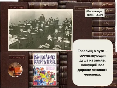 Сборник пословиц и поговорок. Пословицы и поговорки и их толкование.  Пословицы и поговорки в картинках.