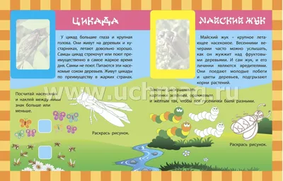 Кто покупает материалы на уроки технологии в школу? | Мама!Ты права! | Дзен