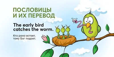 ❄🌷🍎🍁Времена года в пословицах и поговорках. СКАЧАЙТЕ картинки по ссылке  в сохранённых историях для развития лексического разнооб… | История,  Поговорки, Пословицы