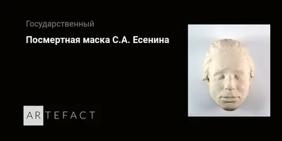 Гибель С. А. Есенина. Исследование версии самоубийства (epub) читать онлайн  | КулЛиб электронная библиотека