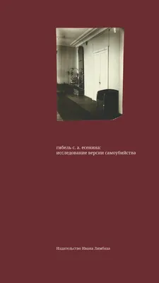 Гибель С. А. Есенина. Исследование версии самоубийства (epub) | Флибуста