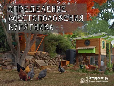 Курятник 4 х 2.3 - Артель Егоров