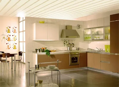 Потолок на кухне (80 фото): красивый дизайн и варианты отделки