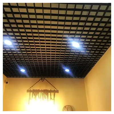 Металлические кассетные подвесные потолки Люмсвет из просечно-вытяжной  сетки | ООО «НиКА-Строй»