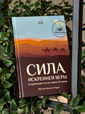 Книга Книга Эксмо Мудрость ислама. 40 дуа для юных мусульман - купить  религий мира в интернет-магазинах, цены на Мегамаркет |