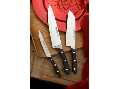 Набор Кухонных Ножей FUJI CUTLERY 3 ножа, подарочная упаковка, японские  кухонные ножи - отзывы покупателей на Мегамаркет