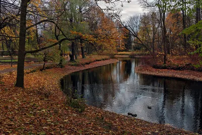 Поздняя осень
